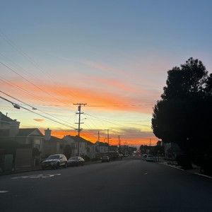 Meet your Posher, Stella